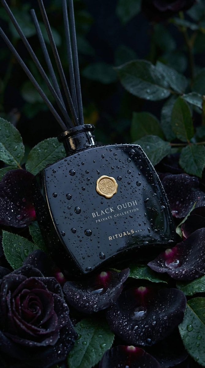 Una ampolla de difusor de canyes de vidre negre elegant amb tipografia daurada elegant i gotes d'gua realistes descansa entre roses negres profundes i pètals de borgonya foscos amb fulles verdes riques, sobre un fons botànic fosc amb ambientació intensa, amb bokeh suau, il·luminació cinematogràfica de bx contrast en tons freds de verd profund i blau de mitjanit que crea un ambient luxós i d'alt rang