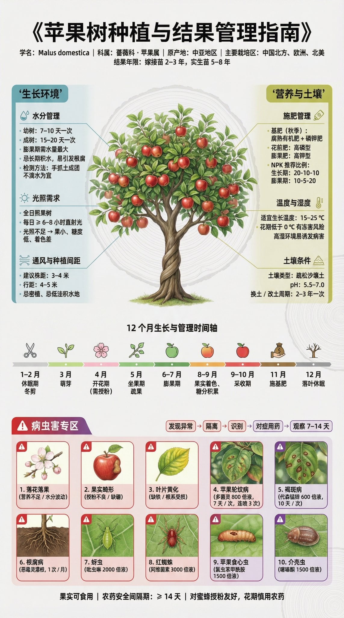 Poster cu ghid de cultivare a pomilor fructiferi, imagine generată de